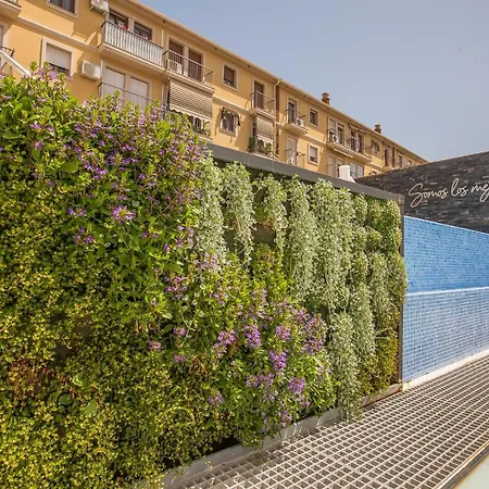 Otel Broe-adults Recommended Málaga
